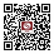 企业年会活动策划与场地选择指南